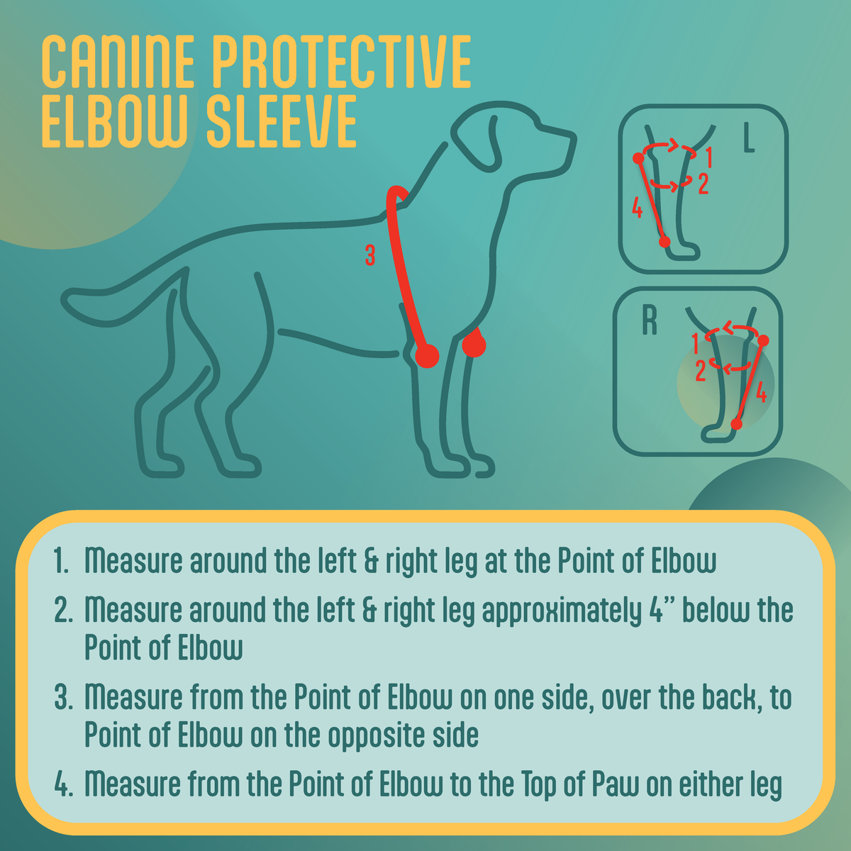 Instructions for measuring a canine protective elbow sleeve with a diagram of a dog and measurement points.