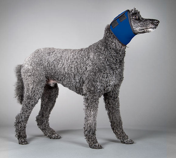 dog goggles and earmuffs Dog Swim Snood