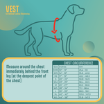 Dog vest size chart for remote cardiac monitoring vest with measurements on a teal background