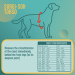Surgi-Sox Torso measurement chart for dogs with a blue background and dog outline.