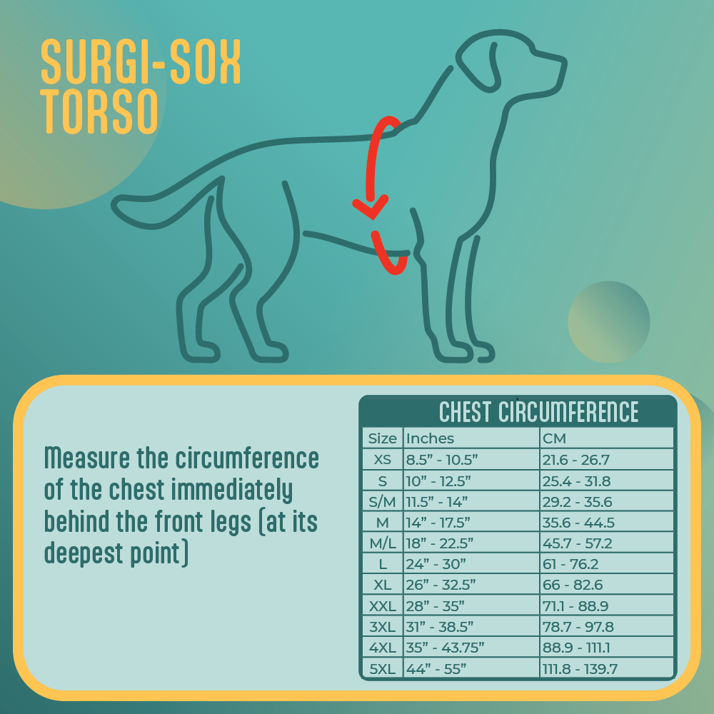 Surgi-Sox Torso measurement chart for dogs with a blue background and dog outline.