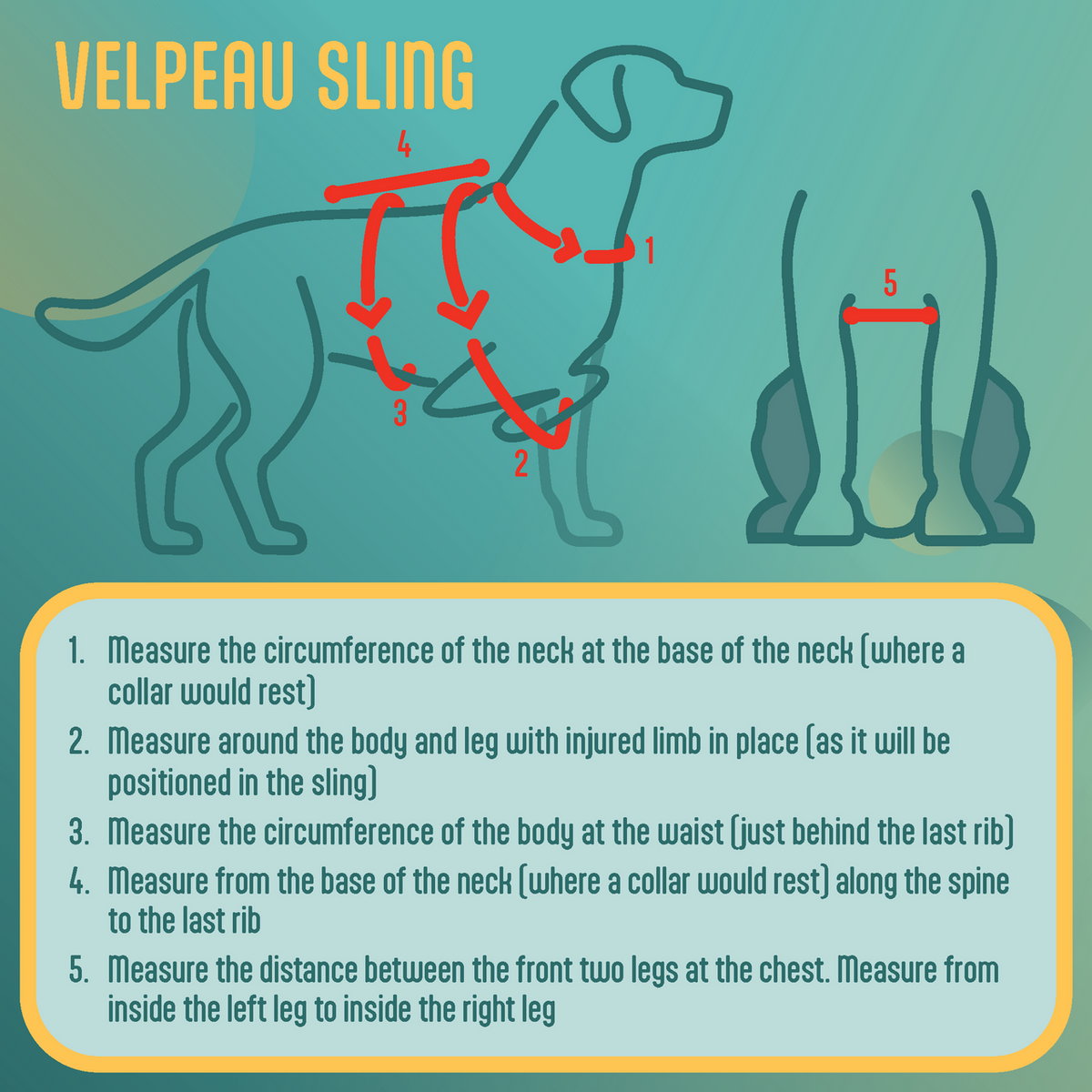 Diagram of a Velpneau sling for dogs with measurements and instructions on a teal background.