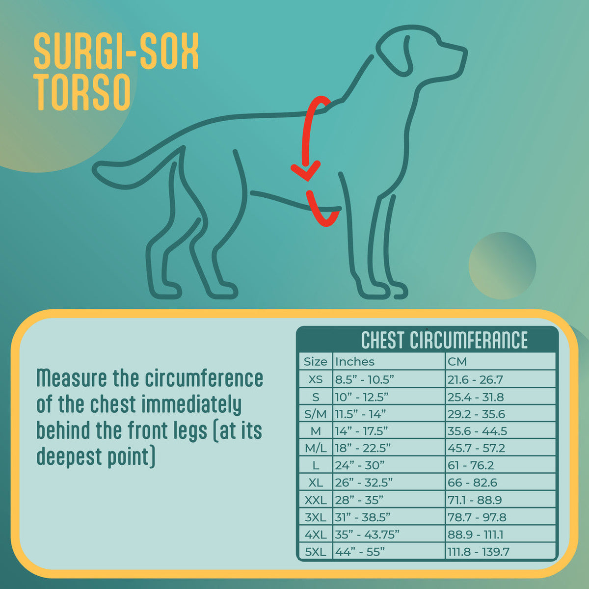 Surgi-Sox Torso measurement chart for dogs with a diagram of a dog and chest circumference measurements.