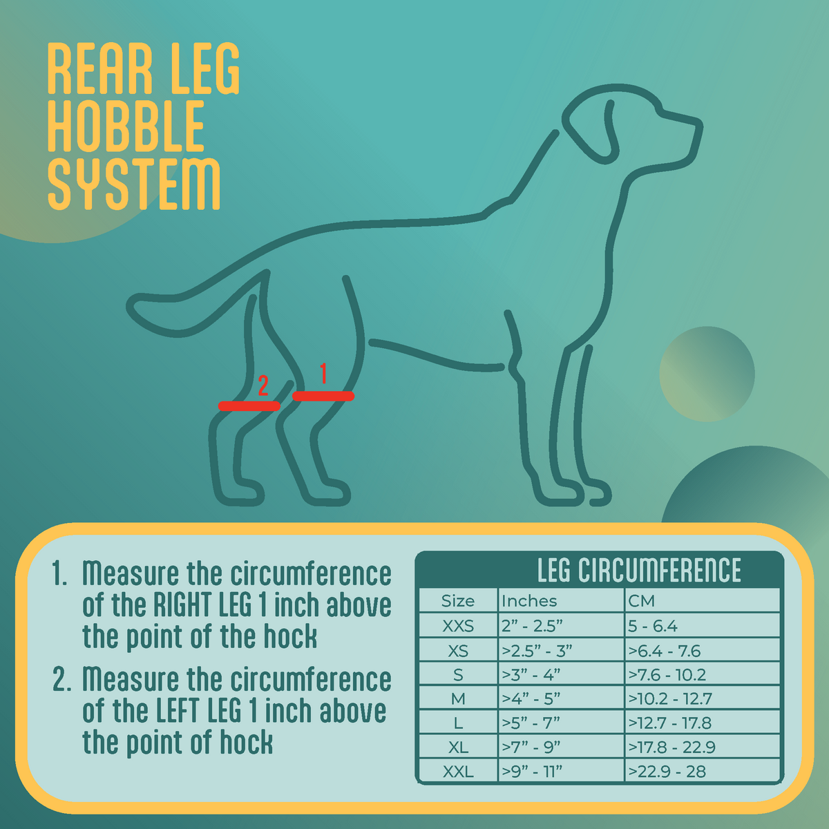 Diagram and chart for measuring dog  for a rear leg hobble system with text instructions on a teal background.