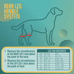 Diagram and chart for measuring dog  for a rear leg hobble system with text instructions on a teal background.
