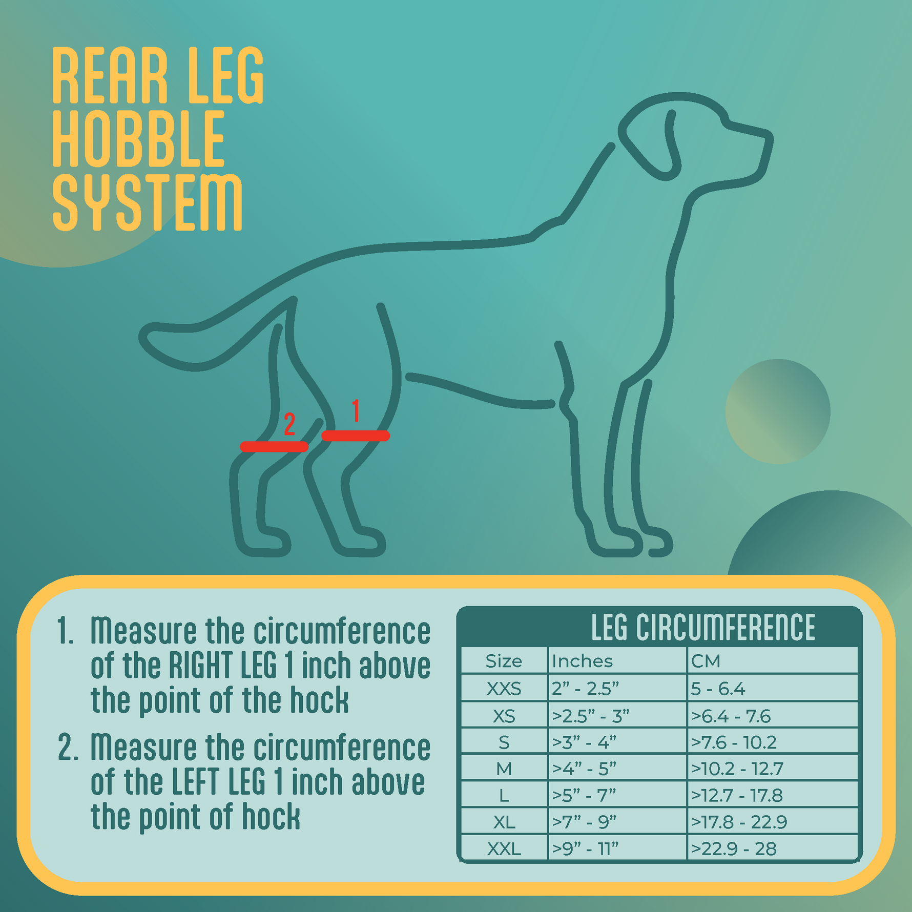 Diagram and chart for measuring dog  for a rear leg hobble system with text instructions on a teal background.