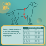 Dog chest measurement chart for an Ehmer sling with outline of a dog and measurement instructions on a teal background.