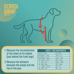 Scandi Wrap dog measurement chart with a dog outline and measurement instructions on a teal background.
